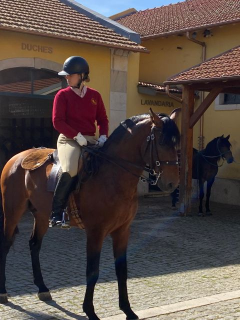 Lisbon: Morning of Equestrian Art with Lusitano Horses - Timing: the 11:00–12:30 sweet spot