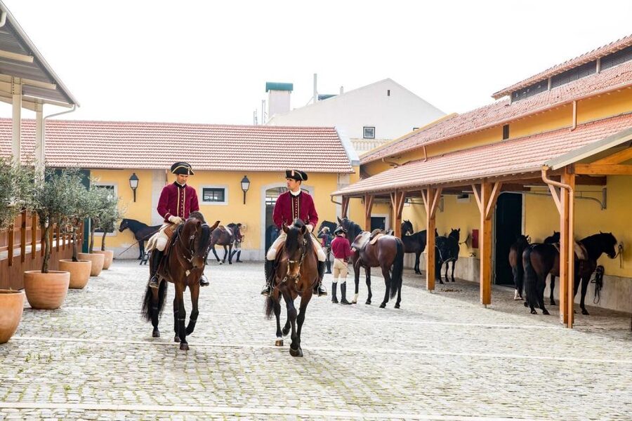 Lisbon: Morning of Equestrian Art with Lusitano Horses - Price and value: what $17 buys you (and what it doesn’t)