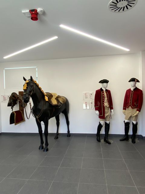 Lisbon: Morning of Equestrian Art with Lusitano Horses - The small practical tips that make it smoother