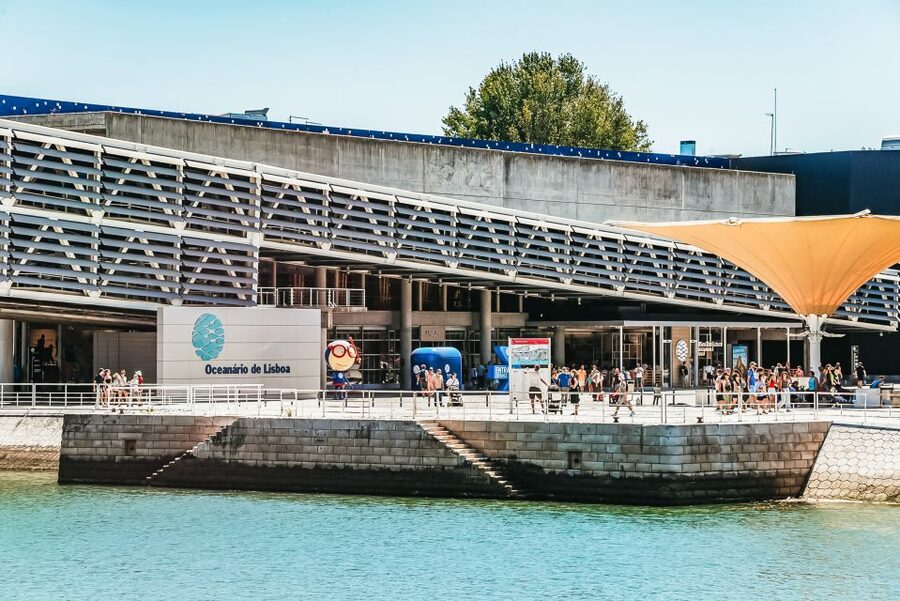 Lisbon: Oceanário de Lisboa Entrance Ticket - Should you pay for a guided tour in English, Spanish, or Portuguese?