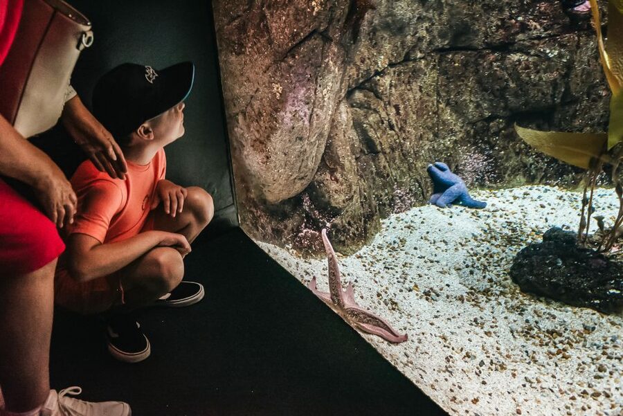 Lisbon: Oceanário de Lisboa Entrance Ticket - Getting there without stress: buses, metro, and Oriente station