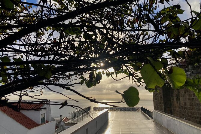 Lisbon Off The Beaten Track and Main Sights Private Walking Tour - Beco do Recolhimento: Castle Hill without the postcard-only version