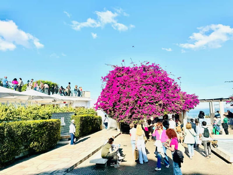 Lisbon: Old Town Tuktuk Tour - Senhora do Monte: the highest viewpoint moment