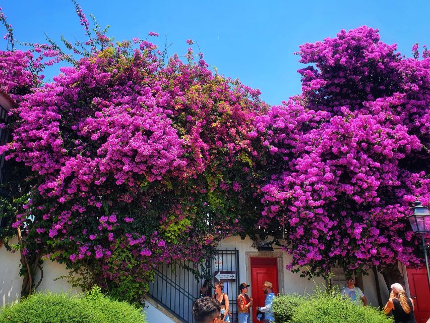Lisbon: Old Town TukTuk Tour and Scenic Viewpoints in Alfama - From Alfama to the River: How the Route Changes Tone