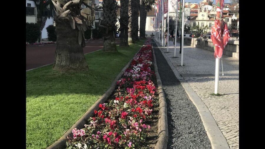 Lisbon: Pena Palace, Sintra, Cascais, and Cabo Roca Day Trip - Sintra Free Time: Cobblestones, Shops, and Quick-Snack Targets