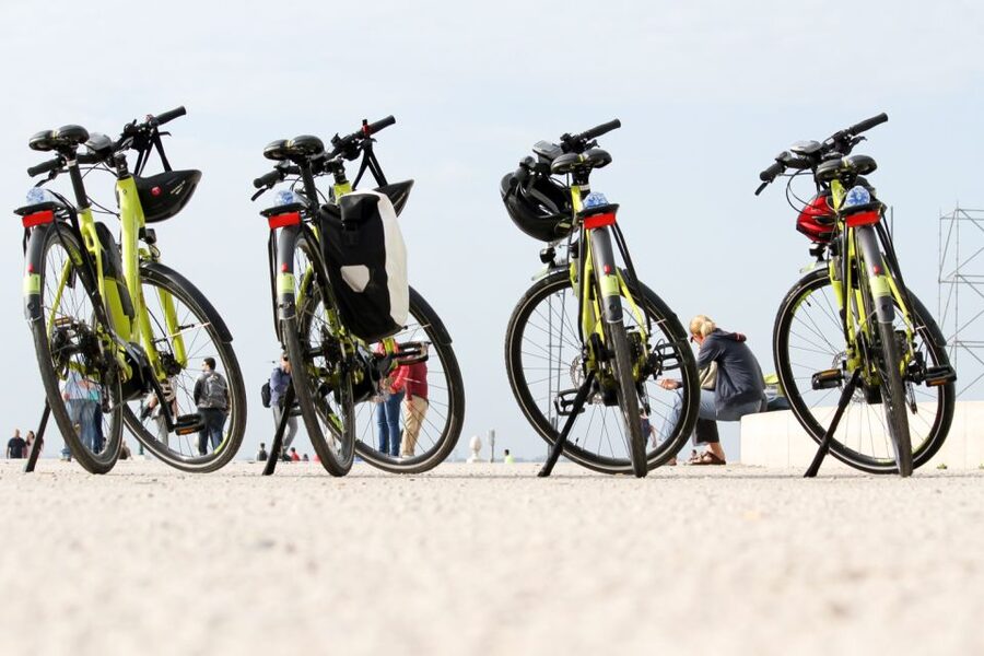 Lisbon: Portuguese Petiscos Tasting Tour by E-Bike - Key highlights you can plan around