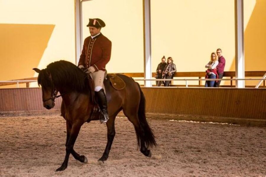 Lisbon: Portuguese Riding School Trainig with Lusitano Horse - Nora Patio and the 18th-century court vibe