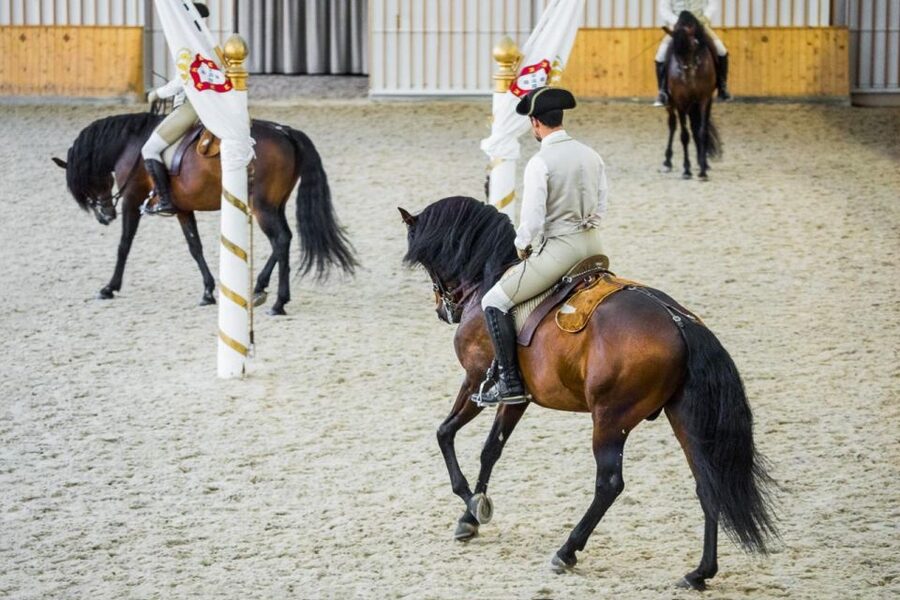 Lisbon: Portuguese Riding School Trainig with Lusitano Horse - Price and value: what $17 gets you in a Lisbon morning
