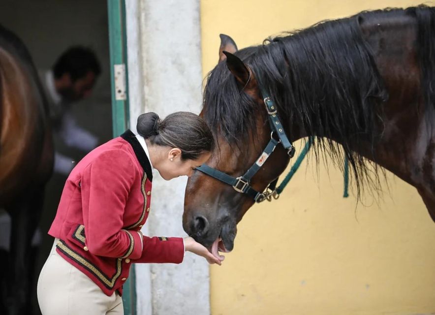 Lisbon: Portuguese Riding School Trainig with Lusitano Horse - Timing tips for the 10am–1pm window (and the best slot)