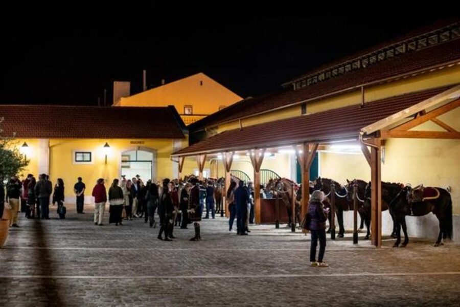 Lisbon: Portuguese Riding School Trainig with Lusitano Horse - What to bring (and what will annoy you if you forget it)