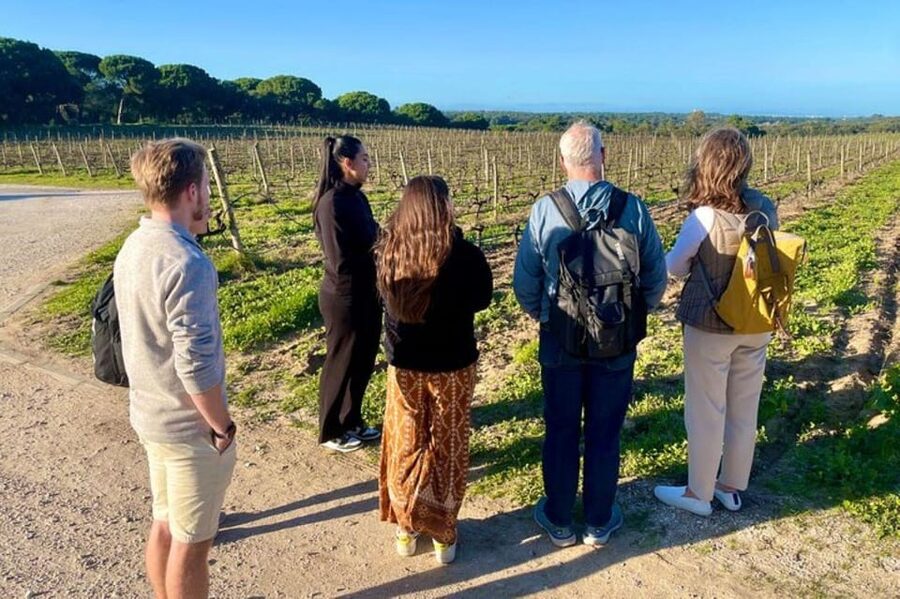 Lisbon: Private All Inclusive Setúbal & Arrábida Wine Tour - Who this tour is best for (and who should skip it)