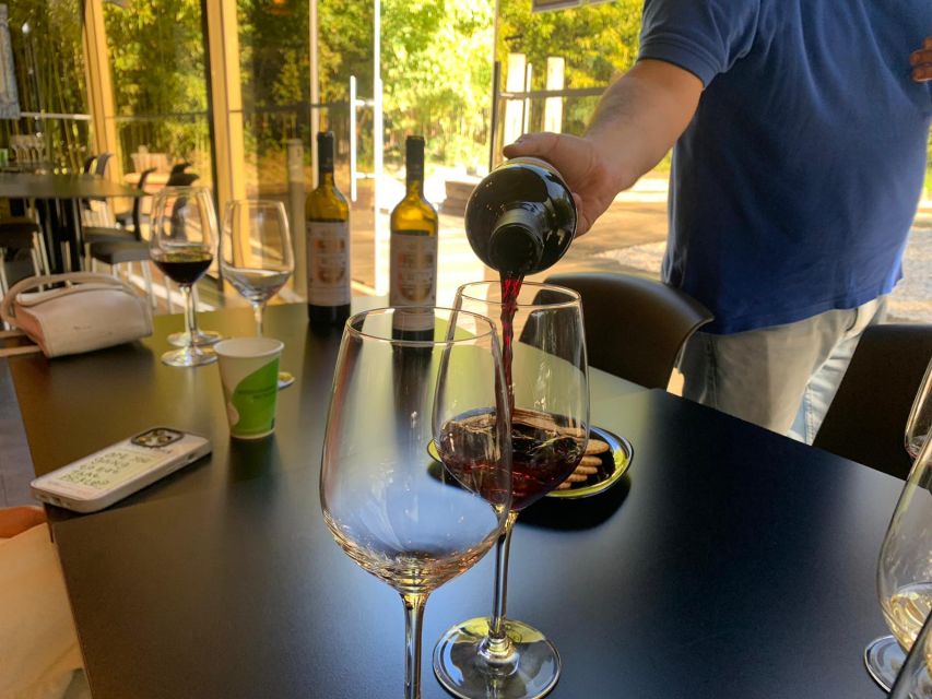 Lisbon: Private All Inclusive Setúbal & Arrábida Wine Tour - Wine tastings at Setúbal Peninsula estates: what each stop adds