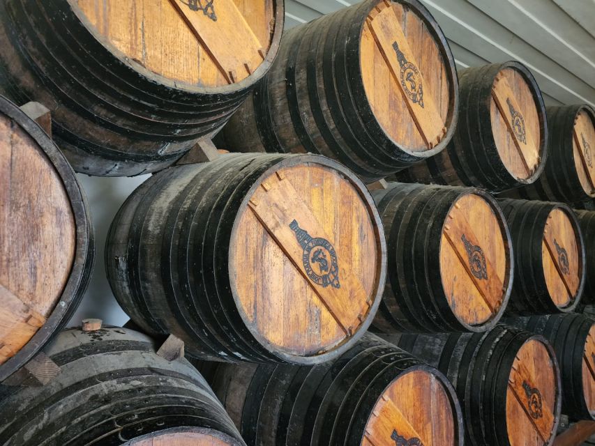 Lisbon: Private All Inclusive Setúbal & Arrábida Wine Tour - Arrábida Natural Park stop: views over Atlantic and Sado