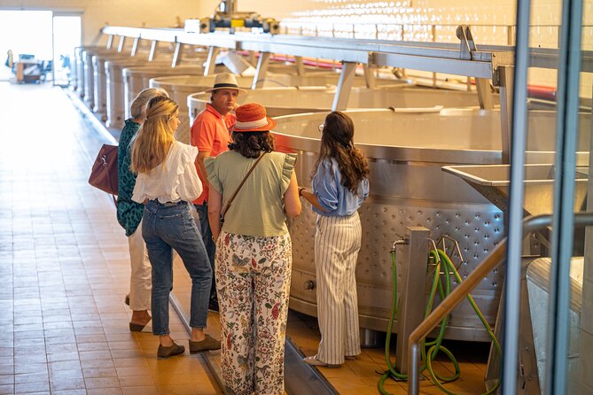 Lisbon: Private Arrábida & Comporta Wine Tour - Your morning start in Lisbon and the Arrábida Natural Park stroll