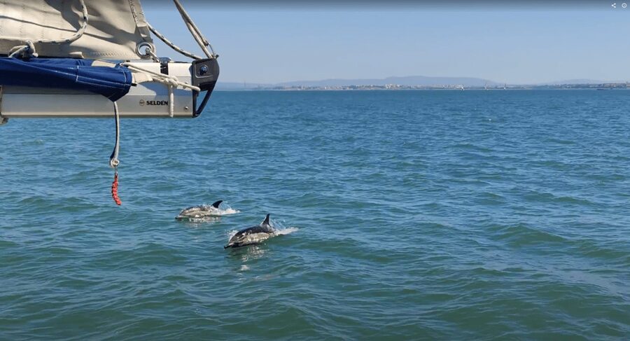 Lisbon: Private Boutique Boat Tour – Sail in Style - Should you book this Lisbon private sailing tour?