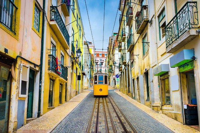 Lisbon Private Full Day Sightseeing Tour - Oceanário de Lisboa: The Break You’ll Thank Yourself For