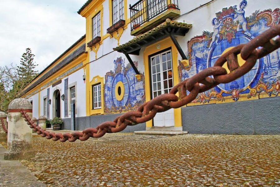 Lisbon: Private Full-Day Wine Tasting Tour in a premium car - Azeitão wine country: why this day trip feels different