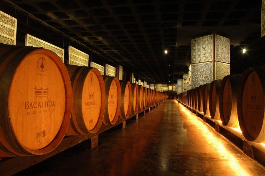 Lisbon: Private Full-Day Wine Tasting Tour in a premium car - Lunch break with free time: how to use your 1.5 hours well