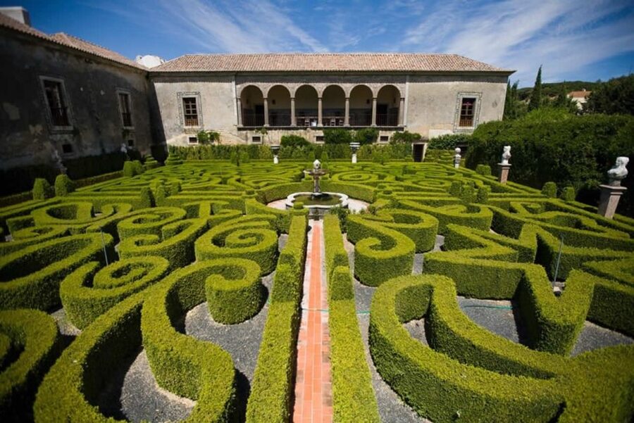 Lisbon: Private Full-Day Wine Tasting Tour in a premium car - Pickup and drop-off across the Lisbon area: make it easy on yourself