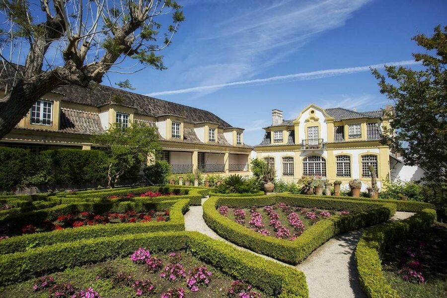 Lisbon: Private Full-Day Wine Tasting Tour in a premium car - Who this tour suits best (and who might want something else)