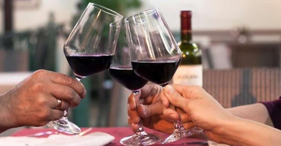 Lisbon: Private Full-Day Wine Tasting Tour in a premium car - The practical stuff: what to bring and how to get the most out of it