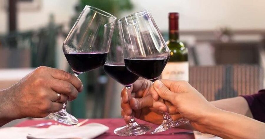 Lisbon: Private Full-Day Wine Tasting Tour in a premium car - The Tesla drive: comfort that actually helps your day