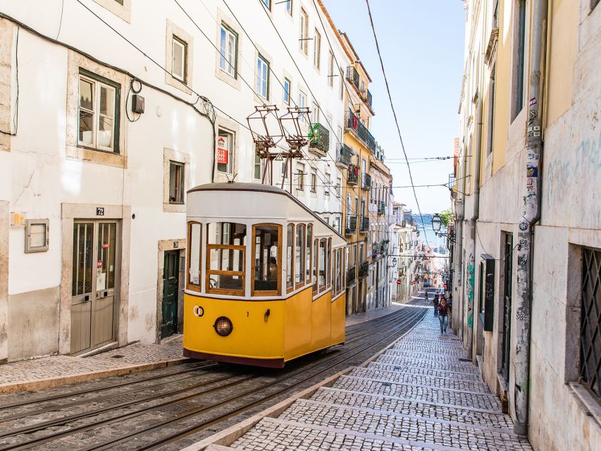 Lisbon: Private Guided Tour by Electric Tuk Tuk - Miradouro da Senhora do Monte: viewpoint walking, Lisbon-style
