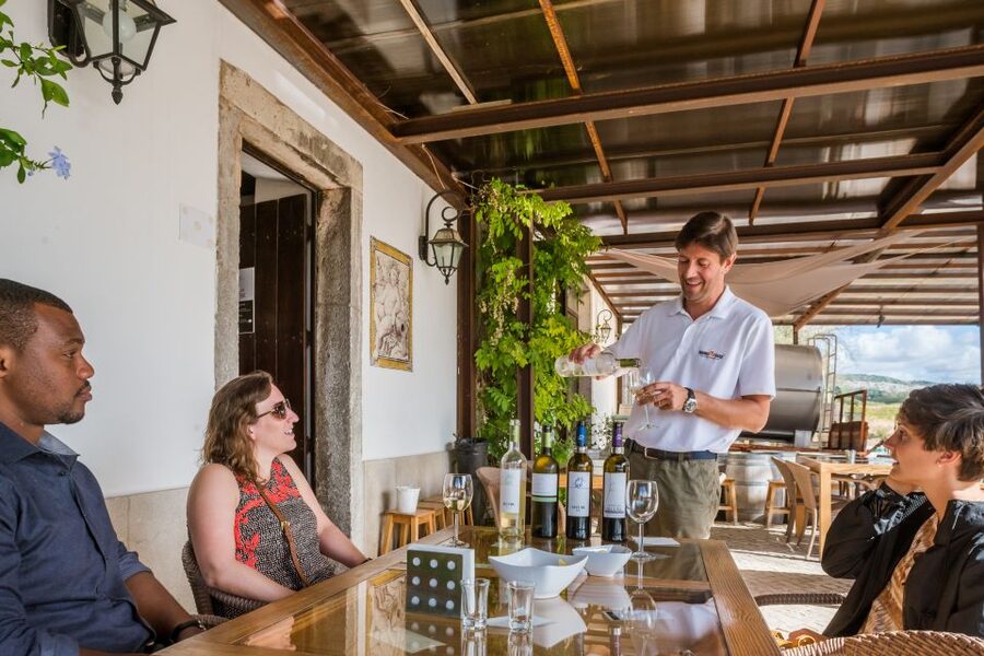 Lisbon Private Setúbal Region Wine Tasting Tour - Key things that make this Lisbon to Setúbal tour work