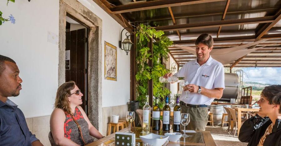 Lisbon Private Setúbal Region Wine Tasting Tour - José Maria da Fonseca: the classic cellar that anchors the day