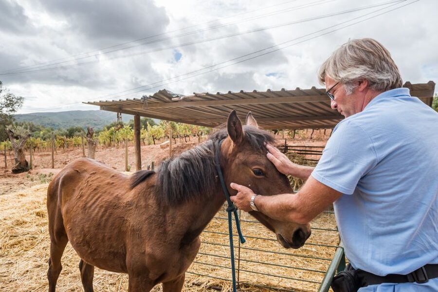 Lisbon Private Setúbal Region Wine Tasting Tour - Food pairings that make tastings easier to enjoy