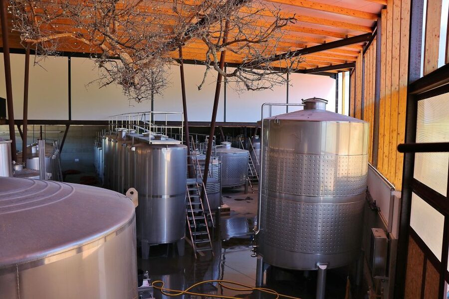 Lisbon Private Setúbal Region Wine Tasting Tour - Your guide shapes the whole tone (Rodrigo, João, Paulo, Vasco, and more)