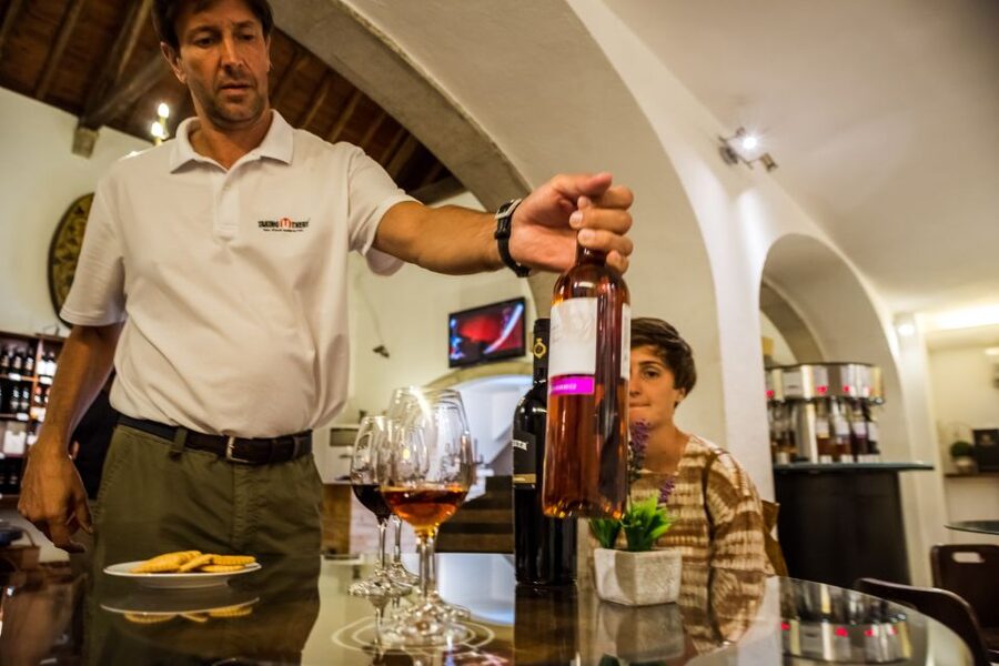 Lisbon Private Setúbal Region Wine Tasting Tour - Two tour styles: 3 winery stops with snacks or 2 stops with full lunch