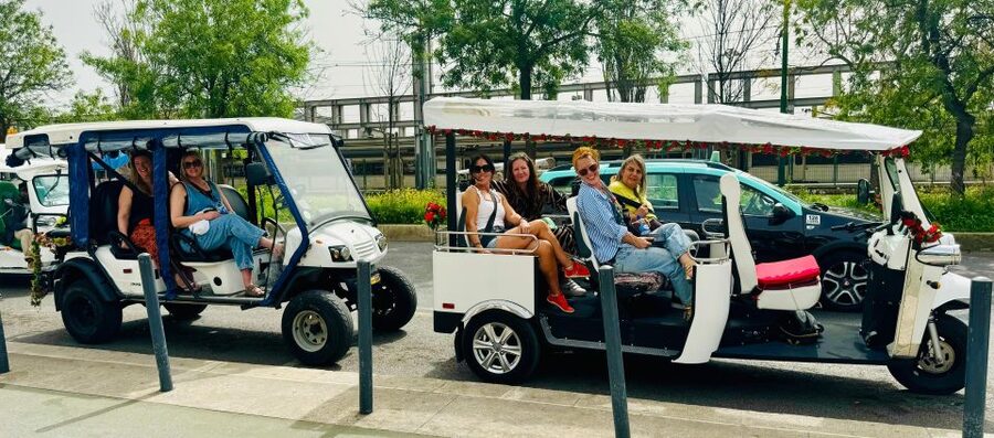 Lisbon: Private Sightseeing Tour by Tuk-Tuk - Santa Luzia and Portas do Sol: the miradouros that do the heavy lifting