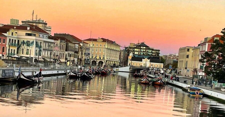 Lisbon: Private Transfer to Porto with stops until 3 cities - Private Guide and Smooth Logistics: What the Best Days Have in Common