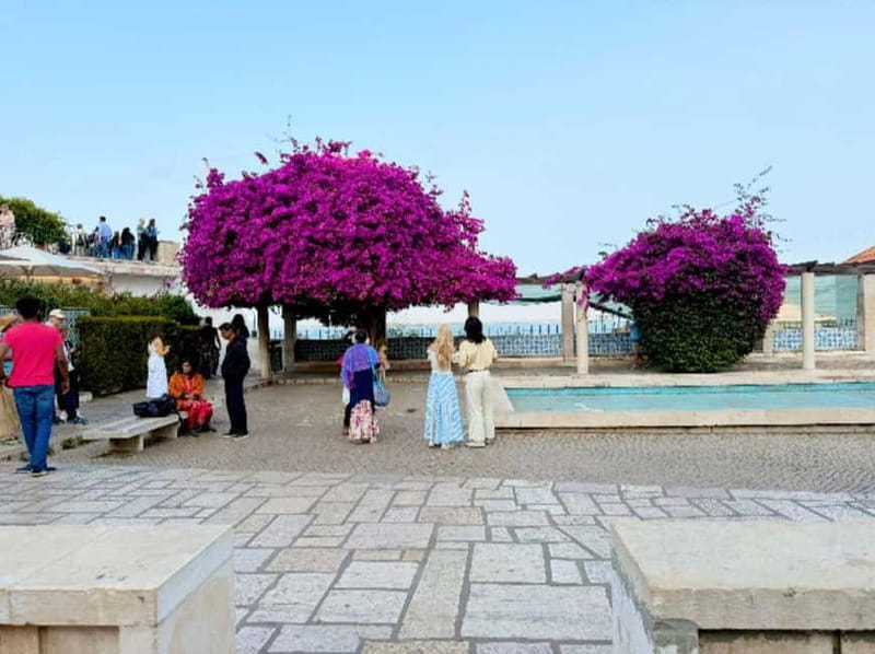 Lisbon: Private Tuk-Tuk Tour of Old Town & Scenic Viewpoints - São Vicente, National Pantheon, and Santa Engracia: a cultural pivot