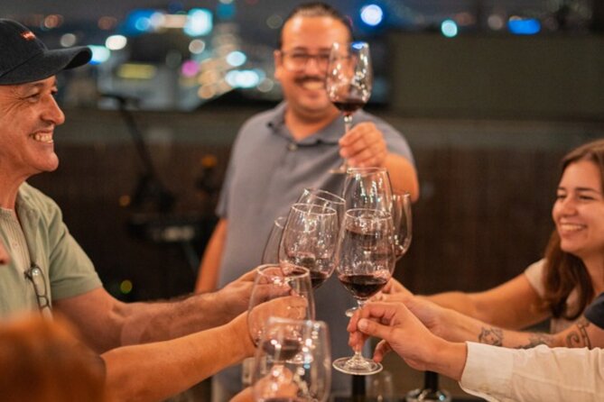 Lisbon: Rooftop Wine Tasting with Live Traditional Fado - Who This Rooftop Fado and Wine Evening Fits Best