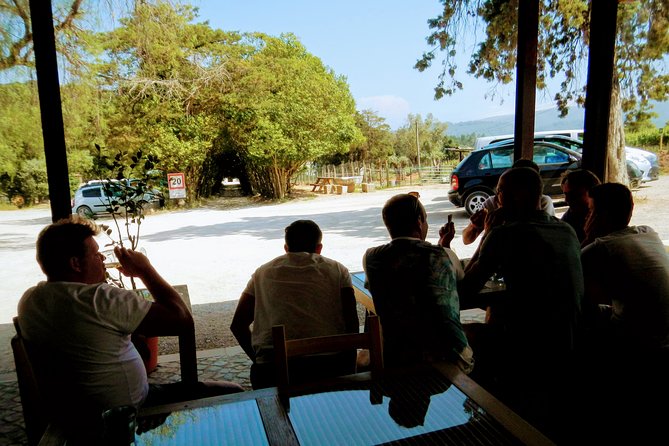 Lisbon´s South Sights & Wine Private Tour - Wine Tasting at Jose Maria de Fonseca: What’s Included and How to Make It Worth Your Time