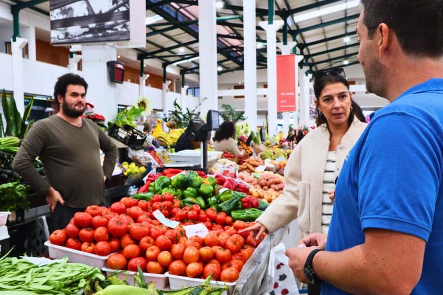 Lisbon: Setúbal Market and Wine tour with Cooking class - Small-group service: why it feels personal (and safe)
