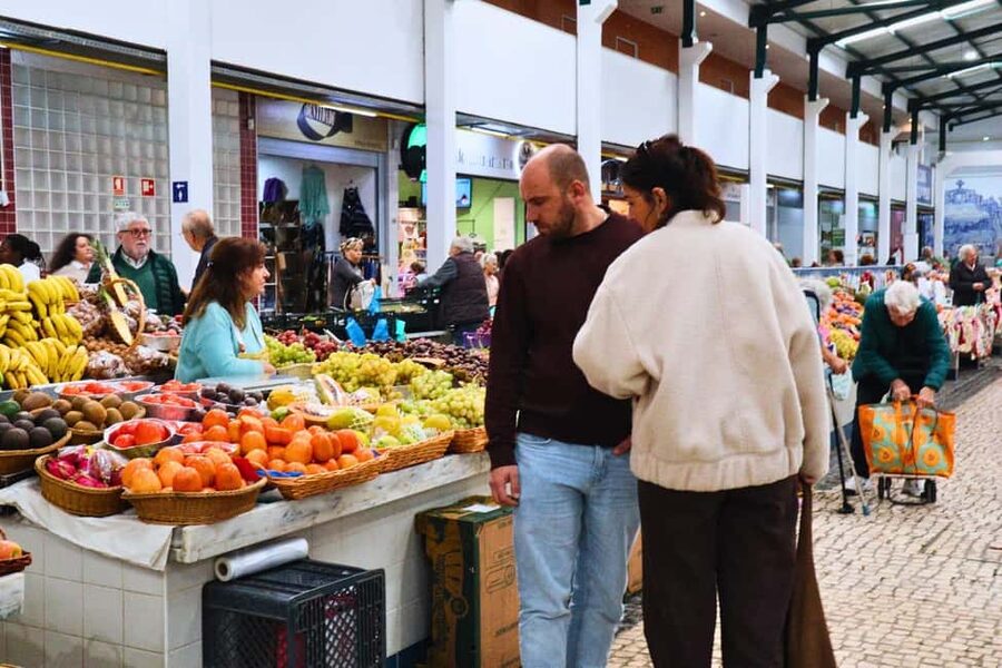 Lisbon: Setúbal Market and Wine tour with Cooking class - Who should book this tour (and who should skip)