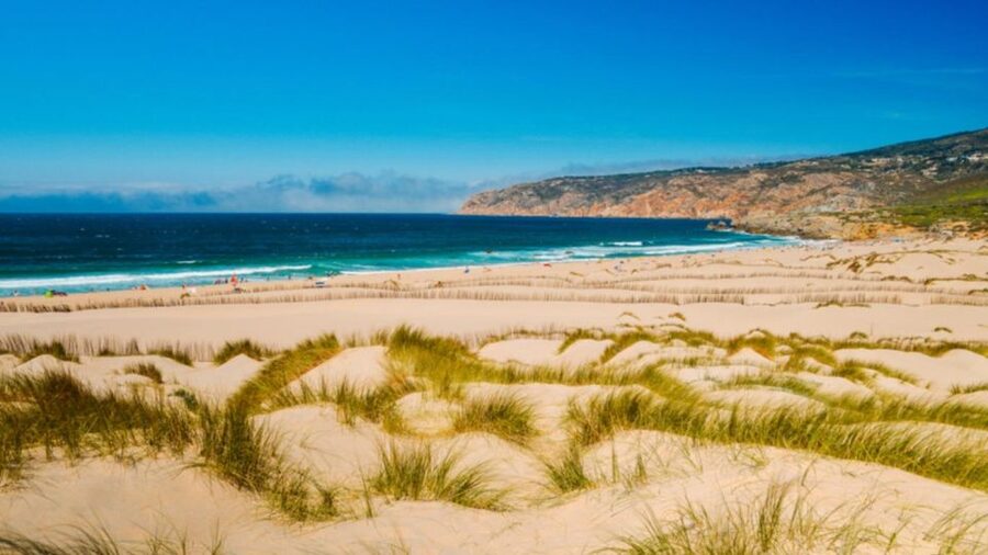 Lisbon: Sintra, Pena Palace, Cabo Roca Coast & Cascais Tour - Cascais: lunch time, seaside strolls, and easy people-watching