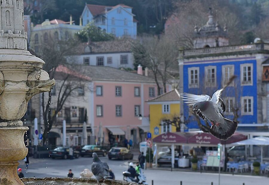 Lisbon: Sintra, Pena Palace, Quinta Regaleira, Cascais Tour - Why This Day Trip Feels Like the Right Dose of Sintra