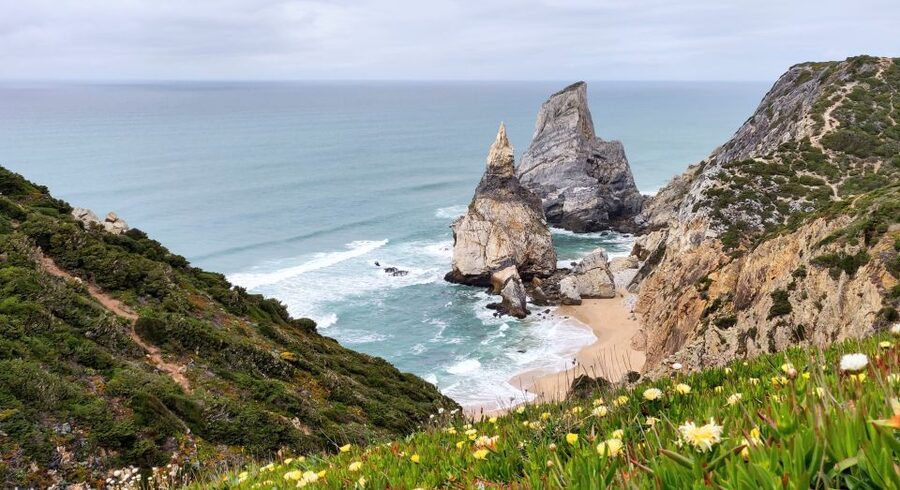 Lisbon: Sintra, Pena Palace, Quinta Regaleira, Cascais Tour - The Most-Praised Parts You’re Booking This For