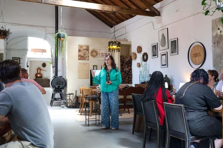 Lisbon: Sintra, Pena Palace & Wine Tasting Small-Group Tour - Colares wine estate: the tasting that turns the day into a real experience