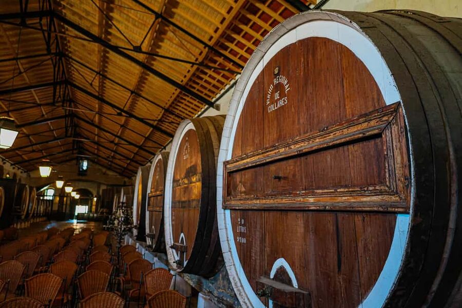 Lisbon: Sintra, Pena Palace & Wine Tasting Small-Group Tour - Price and value: why $93 can feel fair (or not)
