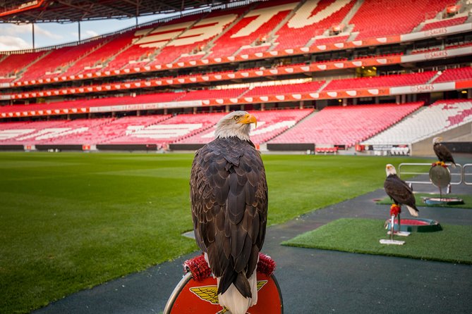 Lisbon SL Benfica Stadium & Museum Tour with Scarf - Price and value: is $32.57 a fair deal in Lisbon?