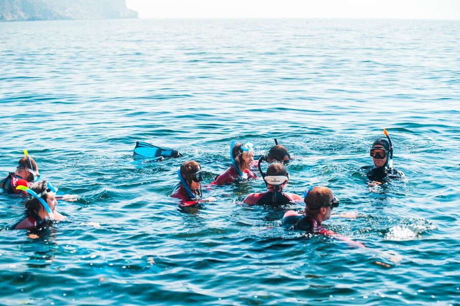 Lisbon: Snorkelling in Sesimbra/Arrábida Natural Park - Who should book this Sesimbra–Arrábida snorkeling trip?