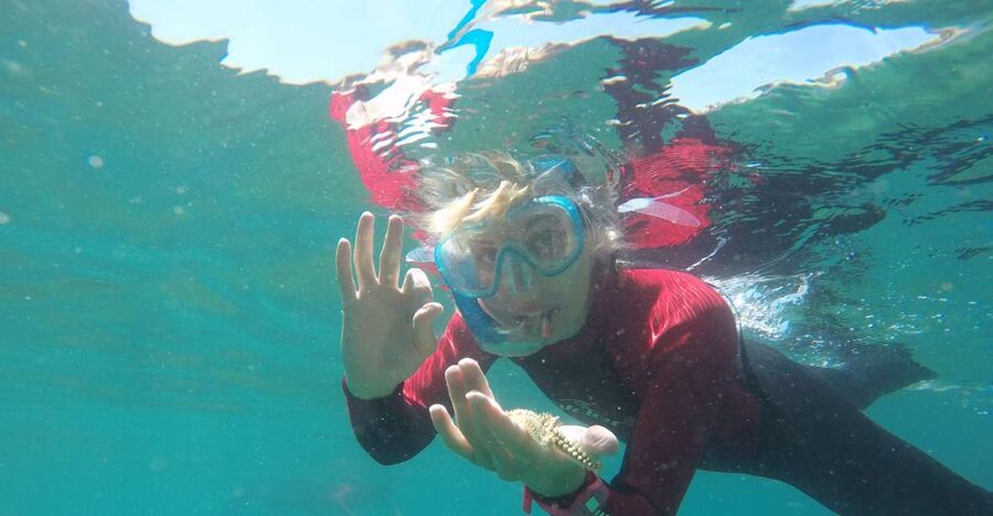 Lisbon: Snorkelling in Sesimbra/Arrábida Natural Park - Getting oriented on the boat ride (skipper included)
