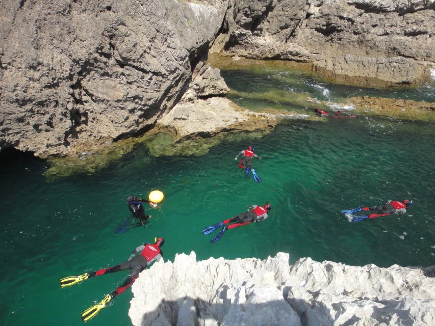 Lisbon: Snorkelling in Sesimbra/Arrábida Natural Park - What to bring, and the rules that shape the day