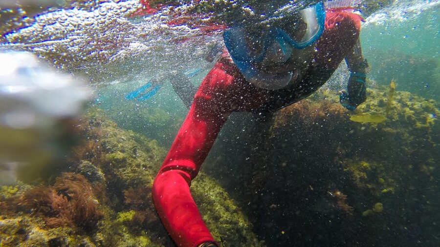 Lisbon: Snorkelling in Sesimbra/Arrábida Natural Park - Guides make the experience: Leonor, Marta, Francisco