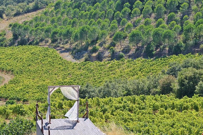 Lisbon Southern Region (Fernão Pó) Wine Tasting Private Tour - Cheleiros wine tastings: Jampal grapes, bread, and olive oil